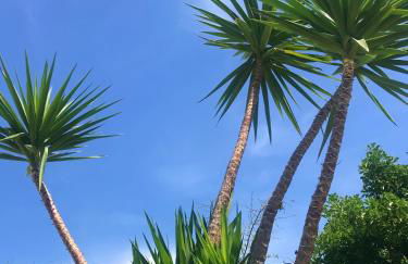 Villa Sara di Puglia - Foto 56