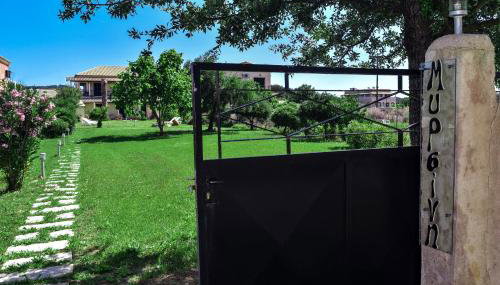 Mirsini Apartments - Foto 4, Garden