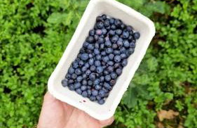 Łap Las Pelnik - Photo 22