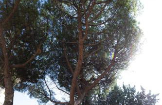 La Casetta - Gaslini e Mare - private parking & garden - Photo 38