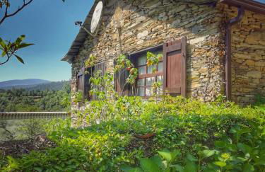 Quinta da Recochina - Foto 20