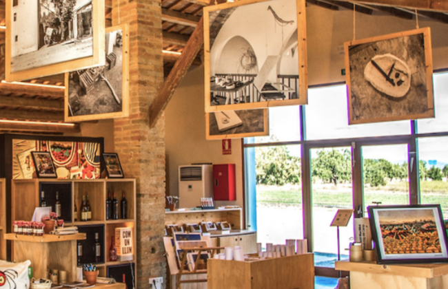 Fundació Mas Miró - Bilhete - Foto 2