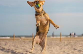 Maries Sterntaler Appartement - Photo 9