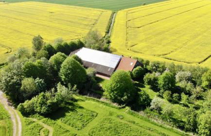 Wohnung 3 - b43246 - Foto 20