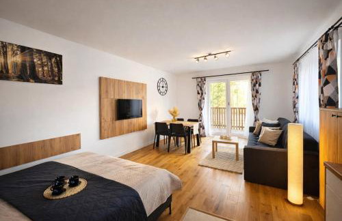 Willa Sowia nowe apartamenty z zachwycającym widokiem na góry i potok - Foto 6