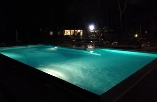 Boschetto del Lago - Foto 134