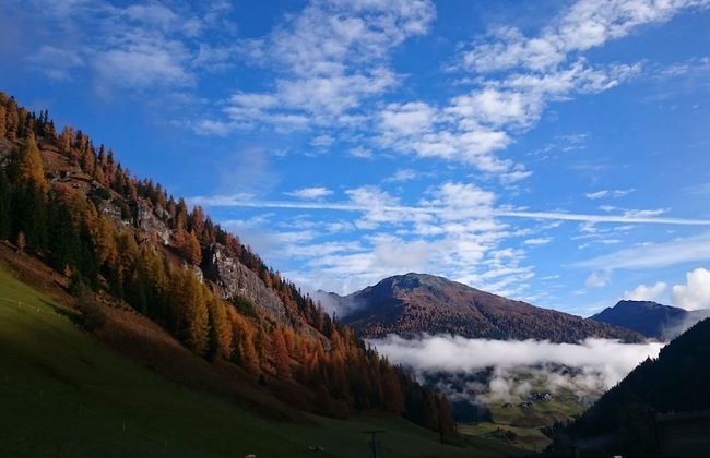 Ferienwohnungen am Berg - Almhütte Alfen - Foto 9