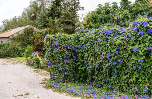 Quinta dos Pinheiros - Foto 62