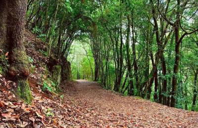 Suite Bufadero - Foto 64