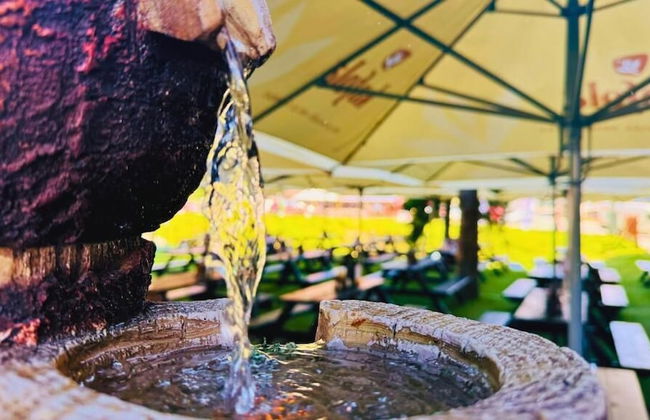 Hotel Crocus - Foto 72