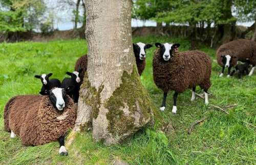 Rectory Cottage. Close to Enniskillen and lakes. - Foto 23