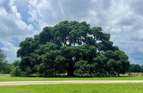 Private cabin on 100 scenic acres with balcony views - Foto 51