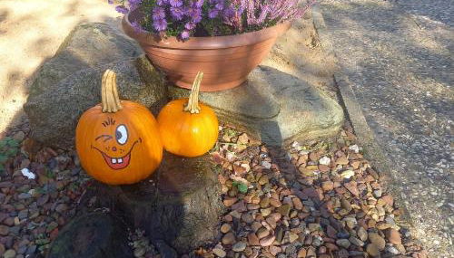 Zur weißen Rosenblüte, Appartement - Foto 3, Garden