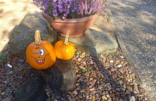Zur weißen Rosenblüte, Appartement - Foto 3