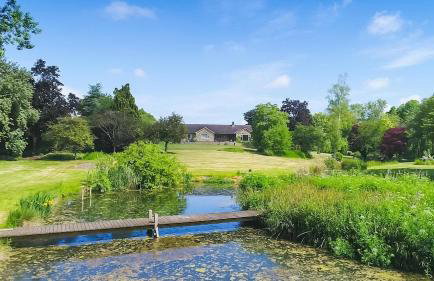 The Quackery - Foto 5