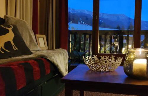 Le Refuge de L'alpaga Superbe duplex au pied des pistes avec Parking couvert gratuit - Photo 29