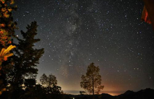 Old Toll Road Inn - Foto 42