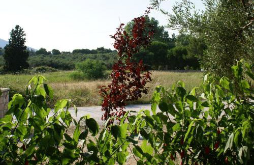 Lithos stone house (Ionio holidays) - Foto 19