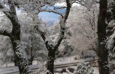 Acorn Cottage & Little Oaks - Photo 47