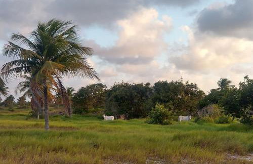 Loft 1 - Casa Aratu Guaiú Barra de Mamanguape - Photo 22