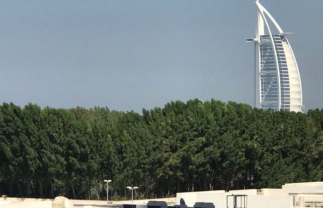 Luxury apartment Burj al Arab View - Photo 25