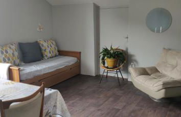 Le 135, logement spacieux entre ville et volcans - Foto 9