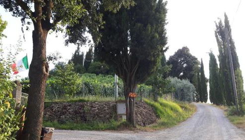 Agriturismo Villino del Grillo - Foto 4