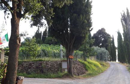 Agriturismo Villino del Grillo - Foto 4