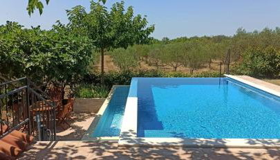 Vila Magnolia - Foto 3, Garden view