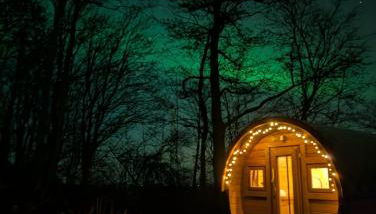 Die Sonnenblume - Foto 3