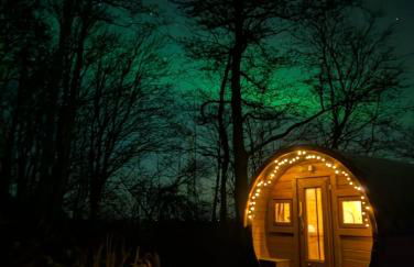 Die Sonnenblume - Foto 3