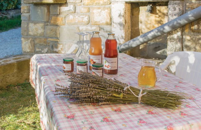 House In The Vineyards - Foto 17