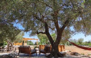 Trullo Serenità Retreat with relaxing pool area - Foto 6