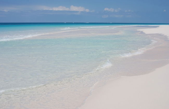 The Little White House 5 Bedroom Home - Foto 26