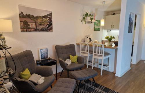 Galeriewohnung Ritter Ramm, Altstadtjuwel mit kostenlosem Parkplatz und Kamin - Photo 7