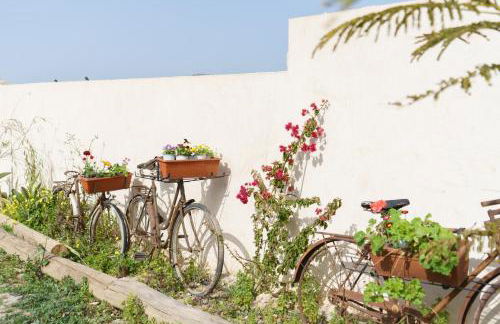 CORTIJO OHANA - Foto 27