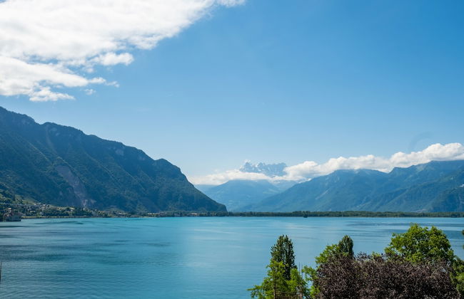 Montreux Panoramic Views 4BD Apartment - Foto 29