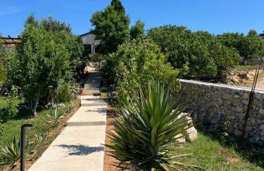 Villa Slatina near Zrce beach - Photo 12