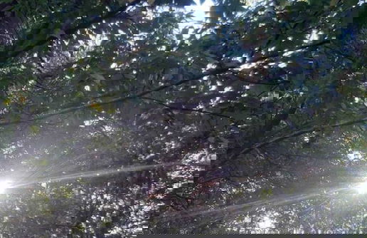 La masseria - Foto 18