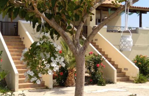 Ktima Develekou - Foto 29