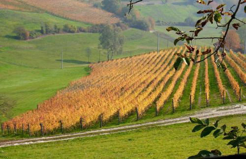 A great escape - Foto 15