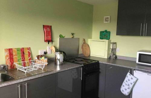 Green Yurt with Hot Tub - Sleeps 3 Parking & Pets - Photo 8