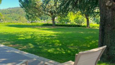 Quinta do Burgo - Nature Hotel - Foto 5