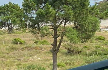 apartamentos beach langosteira 2 - Foto 28