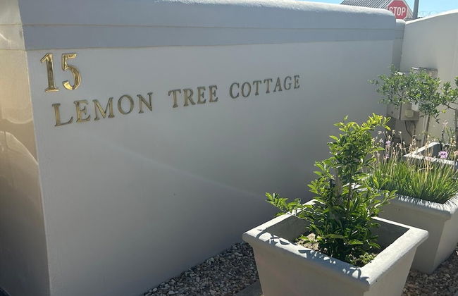 Lemon Tree Cottage - Photo 34