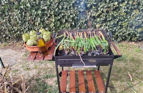 Casa amb jardí i llar de foc - Foto 53