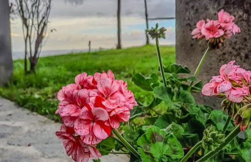 Chalet di montagna in pietra - Val di Chy - Foto 14