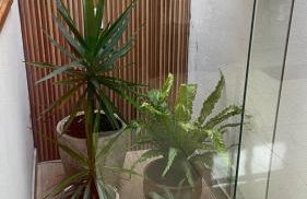 Casa villa Gravatá - Foto 19