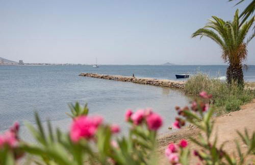 Vivero El Suso - Foto 17