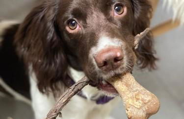 Cosy Cottage - Photo 13